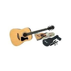 IBANEZ GUITAR ACCOUSTIC V50NJP-VS 2 TONES